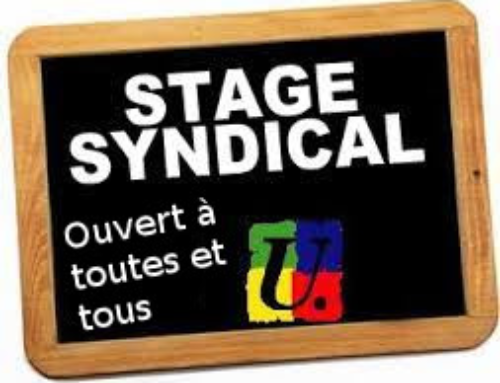Stage « Action sociale »